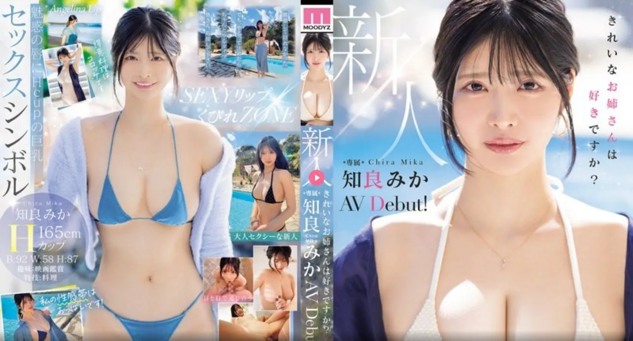 善存多维元素片29 91片メイリン モデルコレクション メ周杰伦mv合集大全高清在线观看